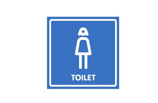 Таблички информационные, режим работы 12FC2123 Табличка 200х200 Туалет женский